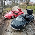 IMG_20250217_172824 - Cópia.jpg